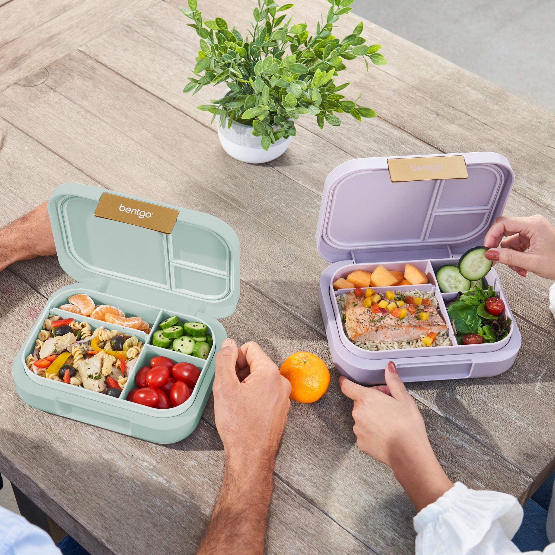 bentgo-modern-lunch-box-2-pack-k4 COSTCOBMCPRODUCTIMAGE_2.jpg